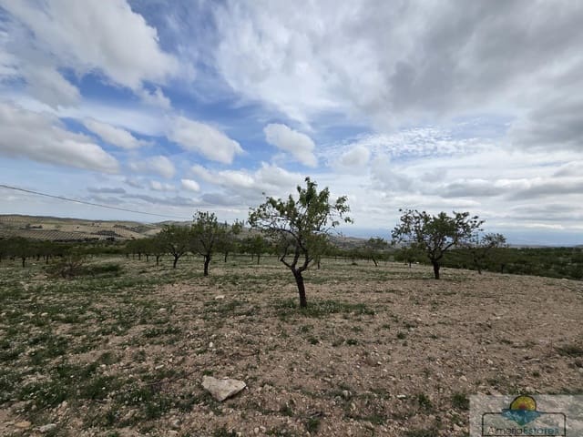 Building Plot for sale in Saliente Alto, Albox - € 198,000 (Ref: 9143951)
