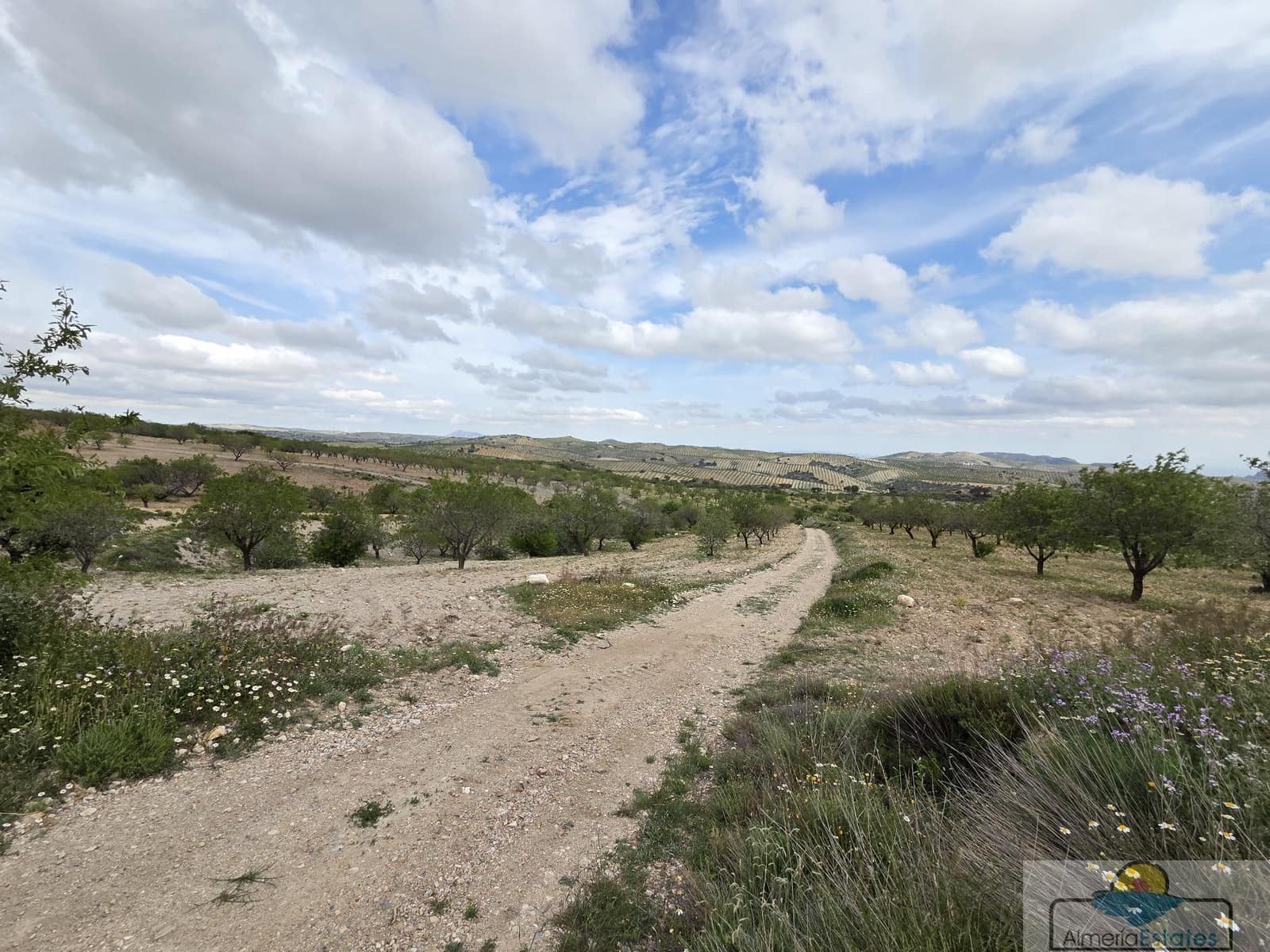 Byggetomt til salgs i Saliente Alto - € 198 000 (Ref: 9143951)