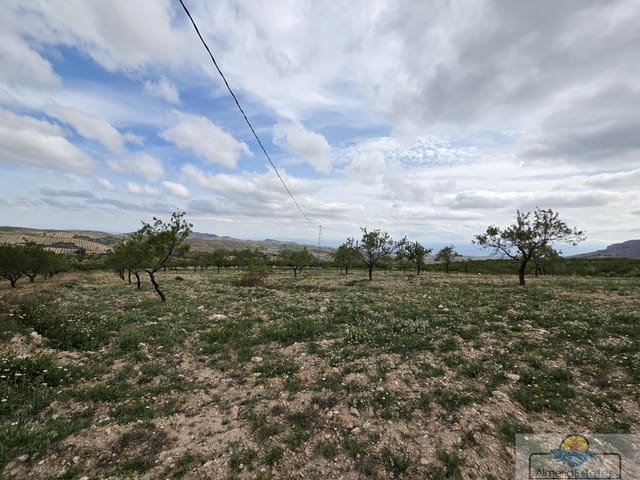 Building Plot for sale in Saliente Alto, Albox - € 198,000 (Ref: 9143951)