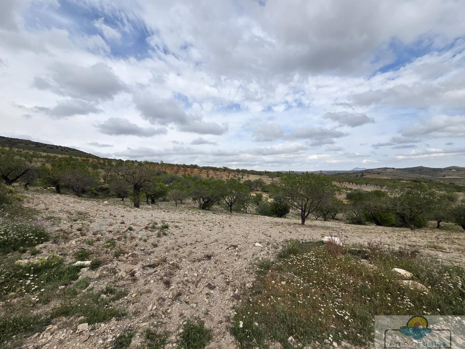 Byggetomt til salgs i Saliente Alto - € 198 000 (Ref: 9143951)