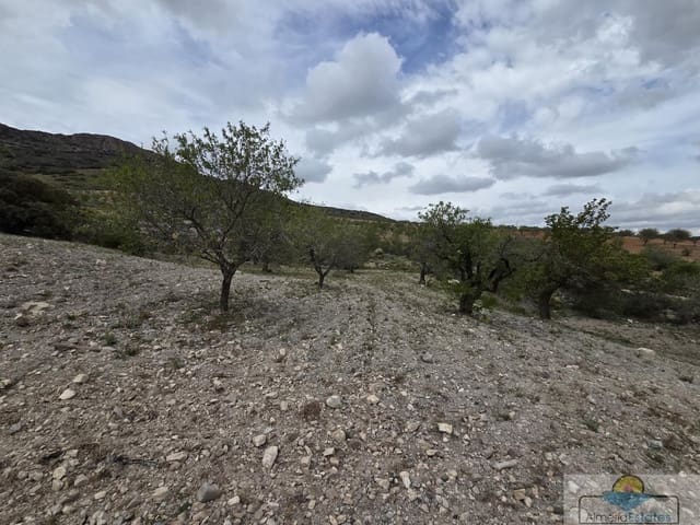 Building Plot for sale in Saliente Alto, Albox - € 198,000 (Ref: 9143951)
