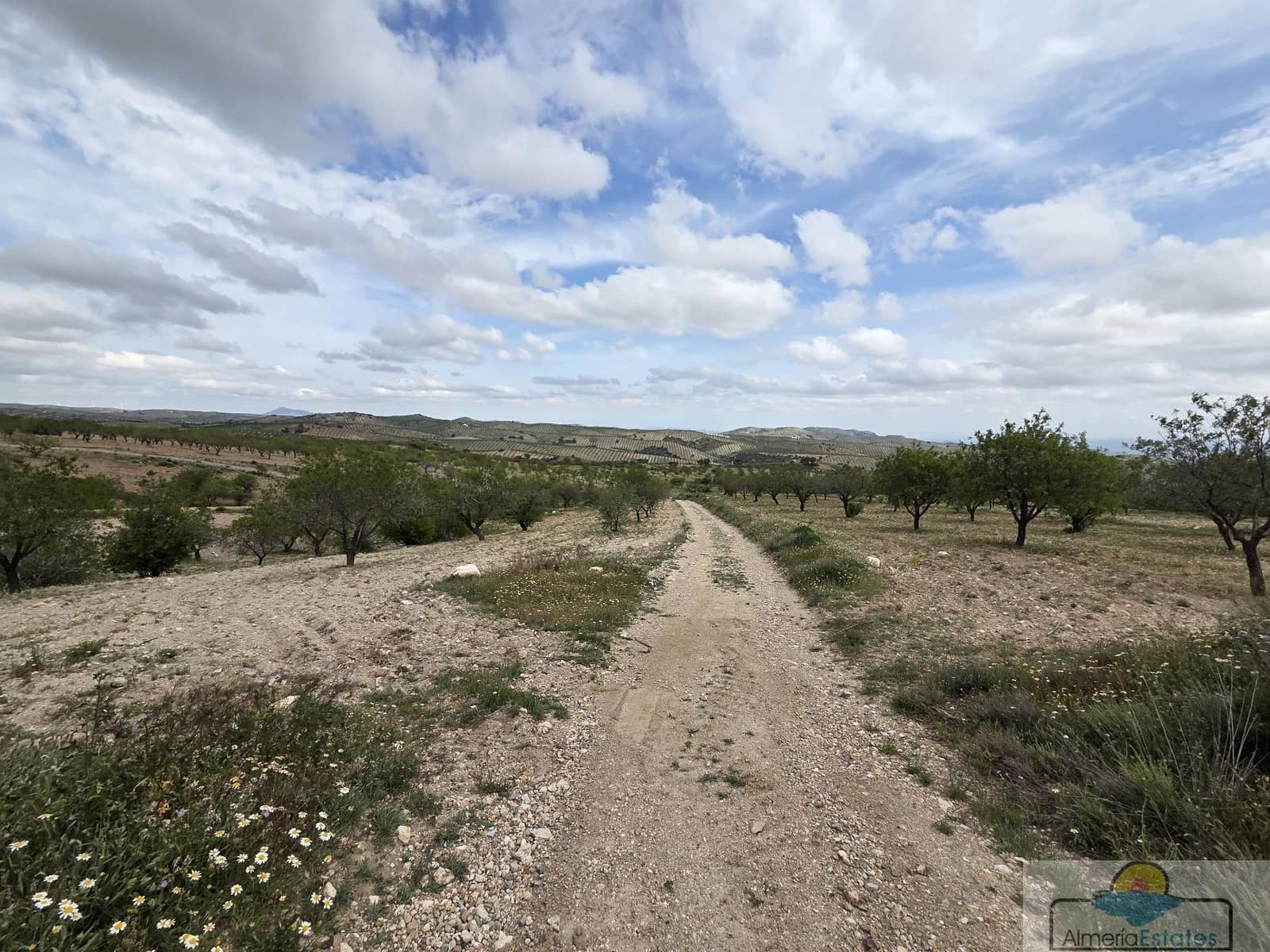 Byggetomt til salgs i Saliente Alto - € 198 000 (Ref: 9143951)