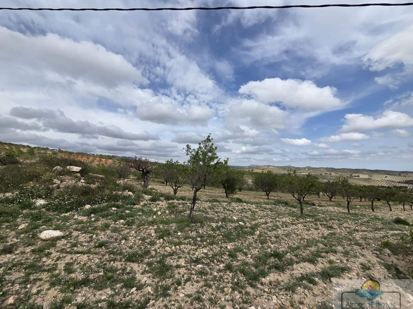 Byggetomt til salgs i Saliente Alto - € 198 000 (Ref: 9143951)