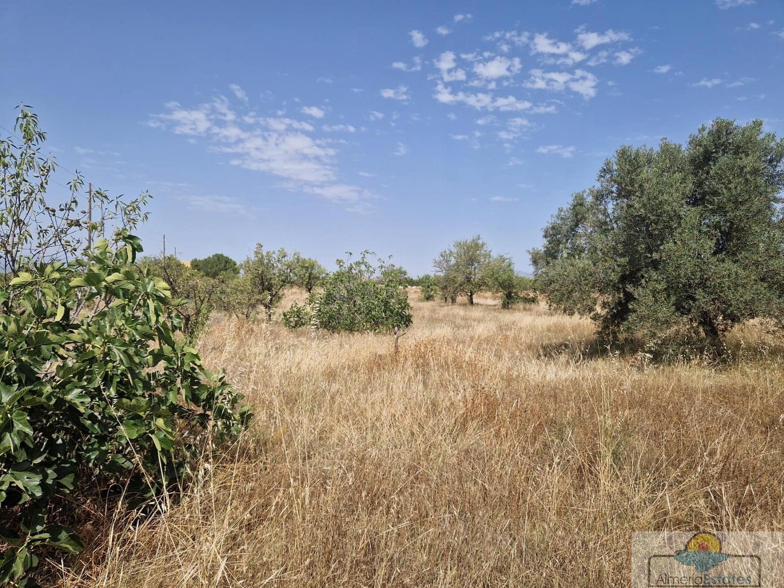 5 soverom Hus til salgs i La Aljambra - € 89 000 (Ref: 9172449)