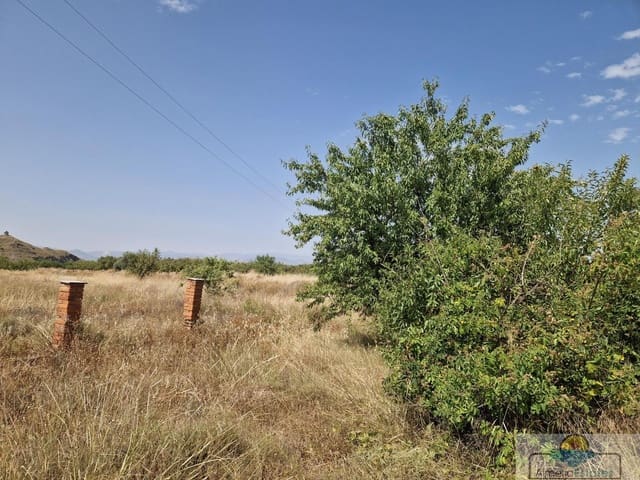 5 slaapkamer Huis te koop in La Aljambra, Albox - € 89.000 (Ref: 9172449)