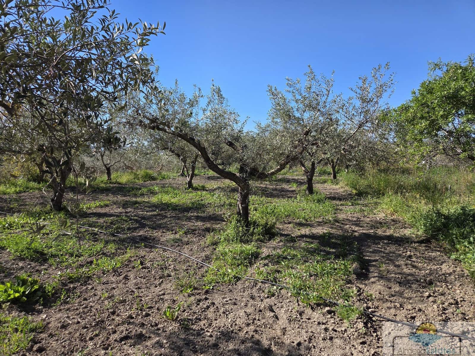 7 makuuhuone Huvila myytävänä paikassa Albox mukana 
autotalli - 449 000 € (Ref: 9764871)