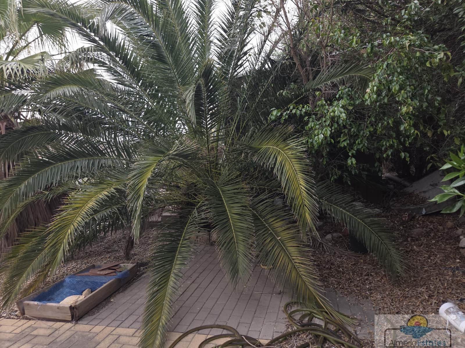 3 quarto Moradia para venda em Aljariz - 130 000 € (Ref: 9765176)