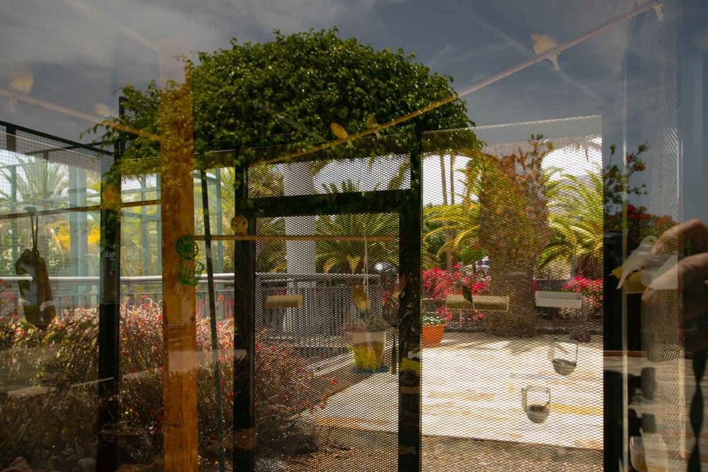 2 bedroom Bungalow for holiday rental in La Caleta Adeje with pool garage - € 1,075 (Ref: 6965324)