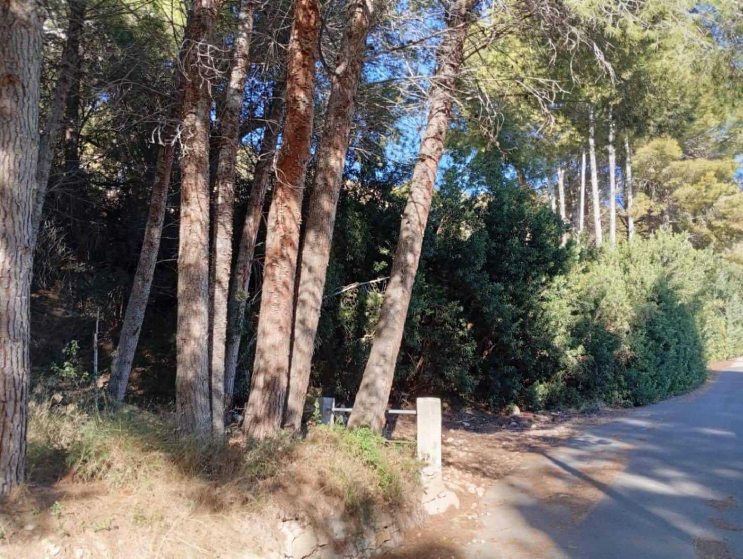 Building Plot for sale in Calpe / Calp - € 199,000 (Ref: 10120517)