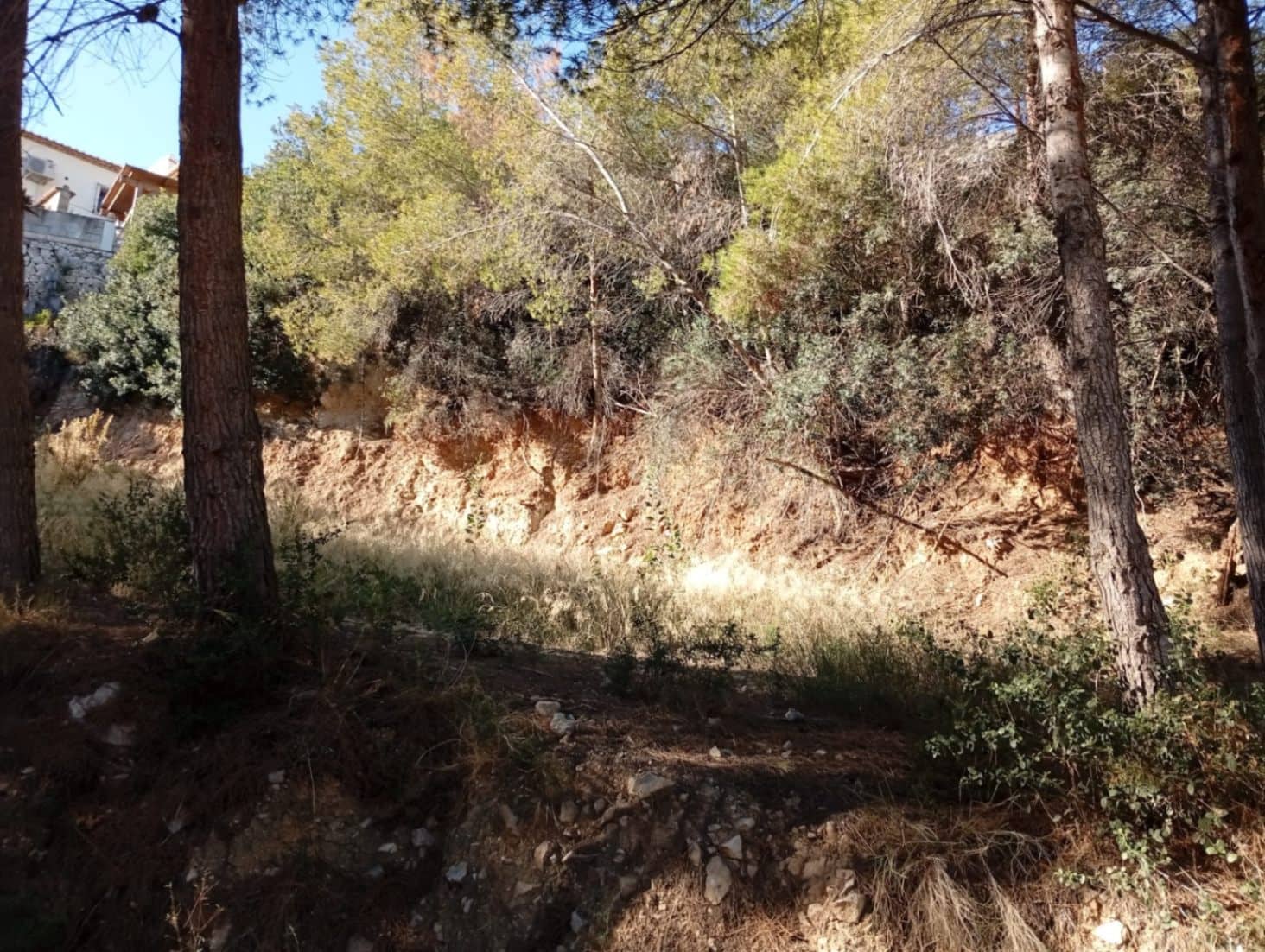 Building Plot for sale in Calpe / Calp - € 199,000 (Ref: 10120517)