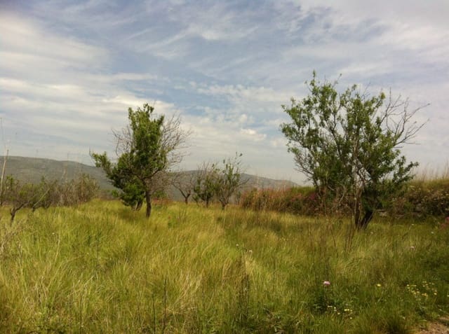 Bouwgrond te koop in Benissa - € 325.035 (Ref: 3337751)