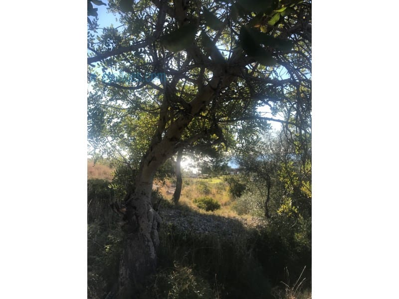 Terreno Não Urbanizado para venda em Garraf - 625 000 € (Ref: 5757681)