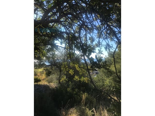 Undeveloped Land for sale in Garraf, Sitges - € 625,000 (Ref: 5757681)