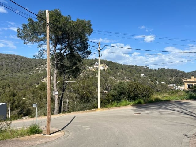 Terreno Não Urbanizado para venda em Olivella - 70 000 € (Ref: 8324846)