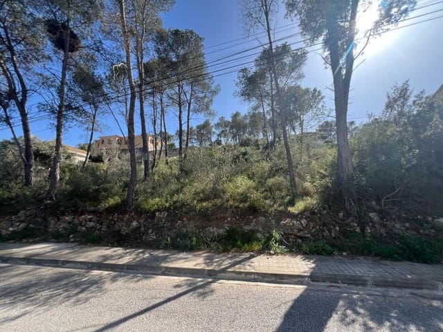 Terreno Não Urbanizado para venda em Olivella - 70 000 € (Ref: 8324846)