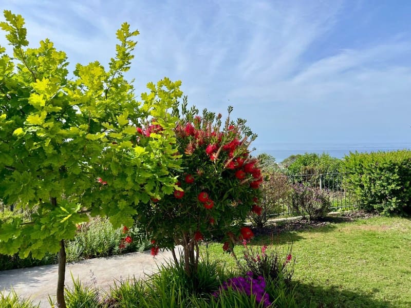 5 sypialnia Willa na sprzedaż w Sant Pere de Ribes z garażem - 2 200 000 € (Ref: 8982589)