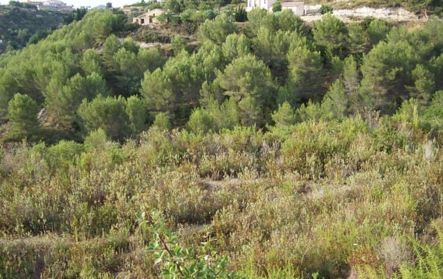 Bouwgrond te koop in Benissa - € 139.000 (Ref: 7627982)