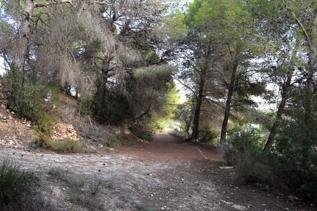 Terrain à Bâtir à vendre à Calpe / Calp - 198 000 € (Ref: 10054377)