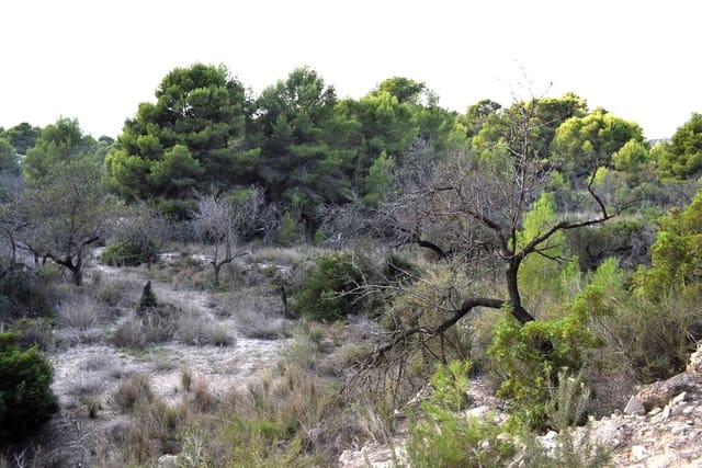 Terrain à Bâtir à vendre à Calpe / Calp - 198 000 € (Ref: 10054377)