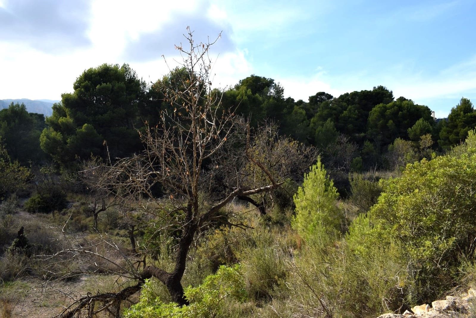 Tontti myytävänä paikassa Calpe / Calp - 198 000 € (Ref: 10054377)