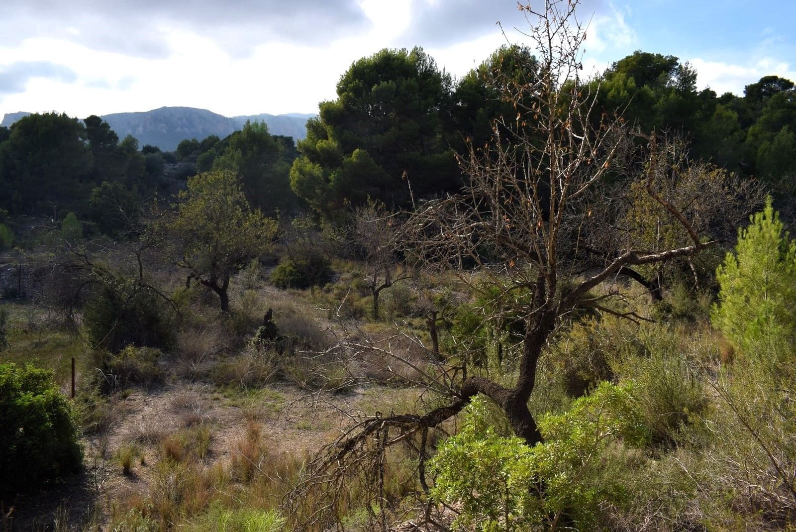 Tontti myytävänä paikassa Calpe / Calp - 198 000 € (Ref: 10054377)