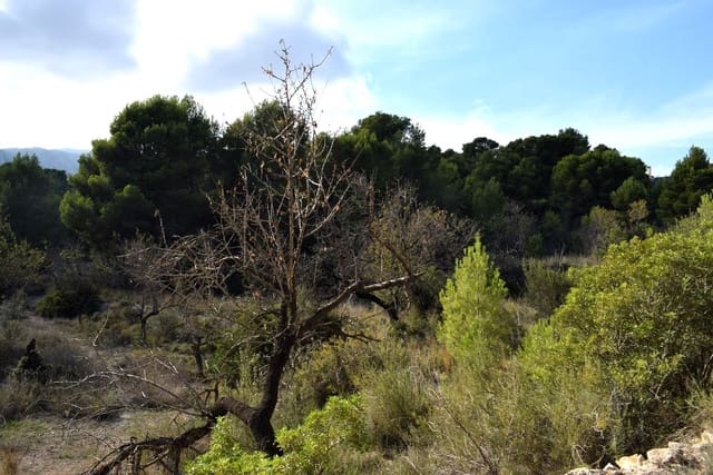 Terrain à Bâtir à vendre à Calpe / Calp - 198 000 € (Ref: 10054377)