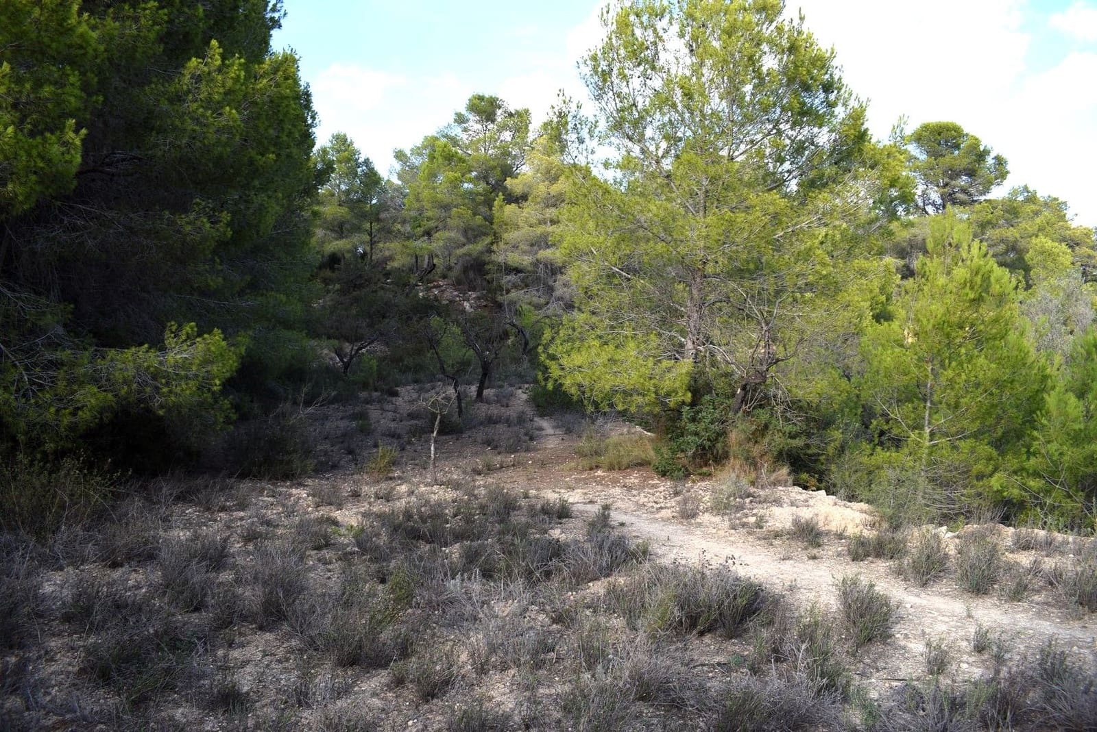 Tontti myytävänä paikassa Calpe / Calp - 198 000 € (Ref: 10054377)