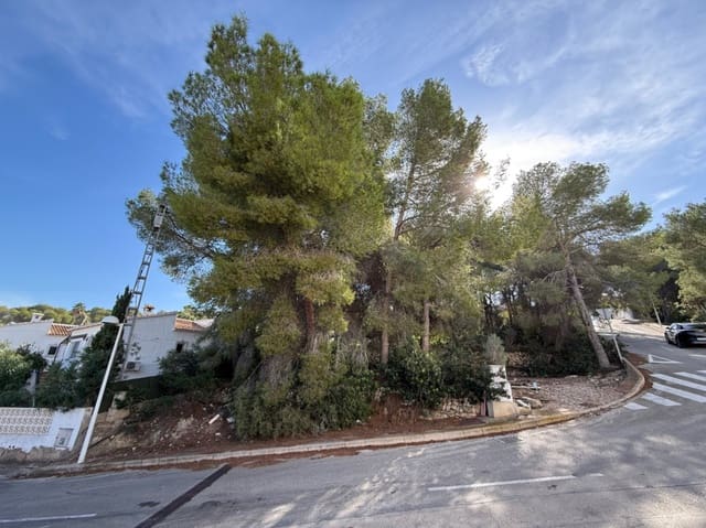 Tontti myytävänä paikassa Teulada Pueblo, Teulada-Moraira - 210 000 € (Ref: 10054384)