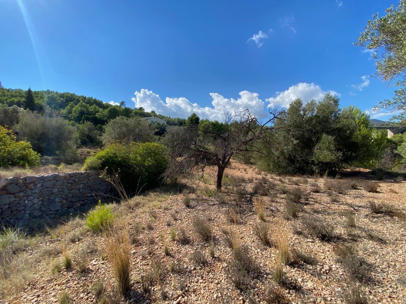 Tomt till salu i Benissa - 230 000 € (Ref: 10054387)