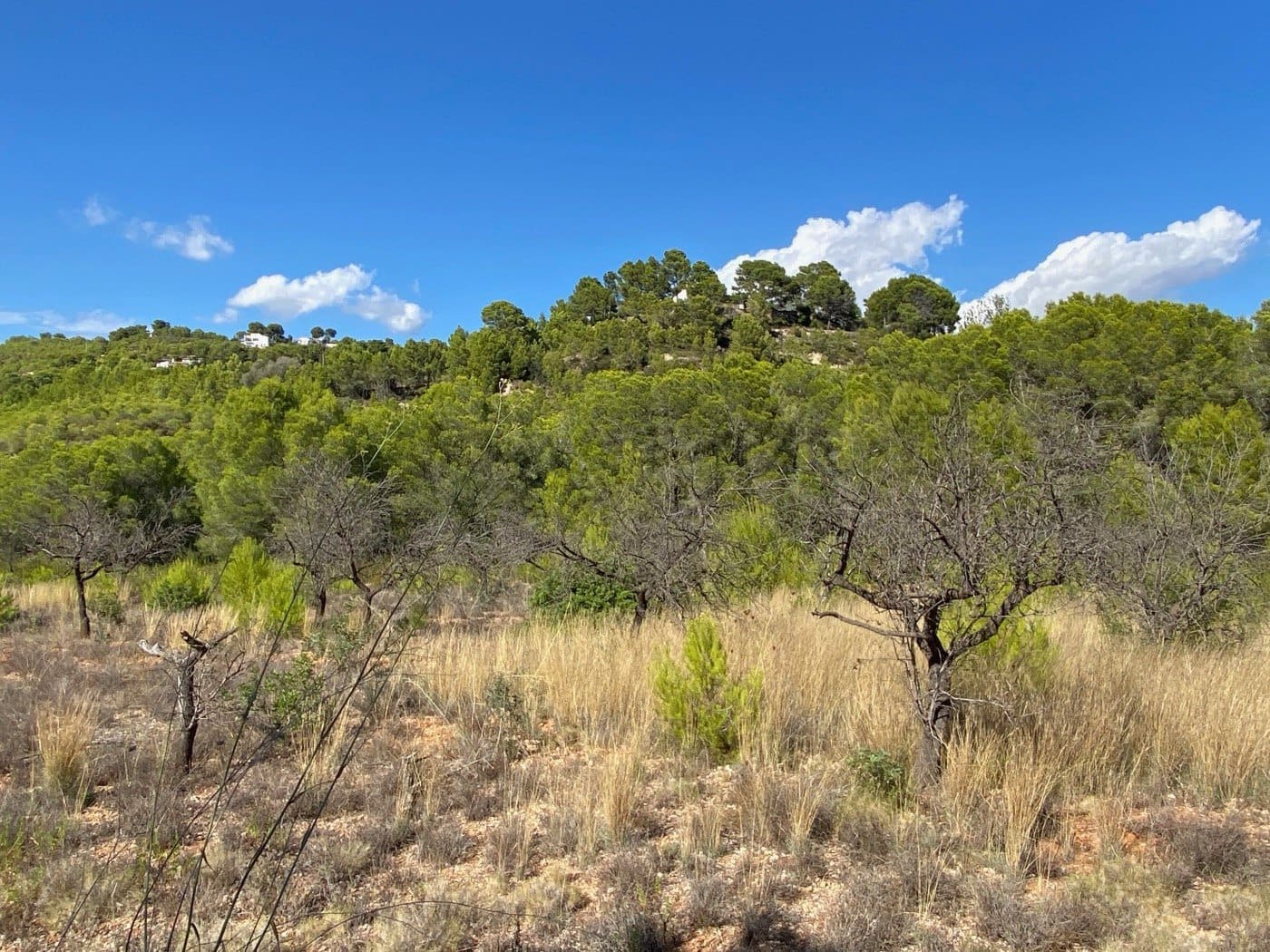 Tomt till salu i Benissa - 230 000 € (Ref: 10054387)