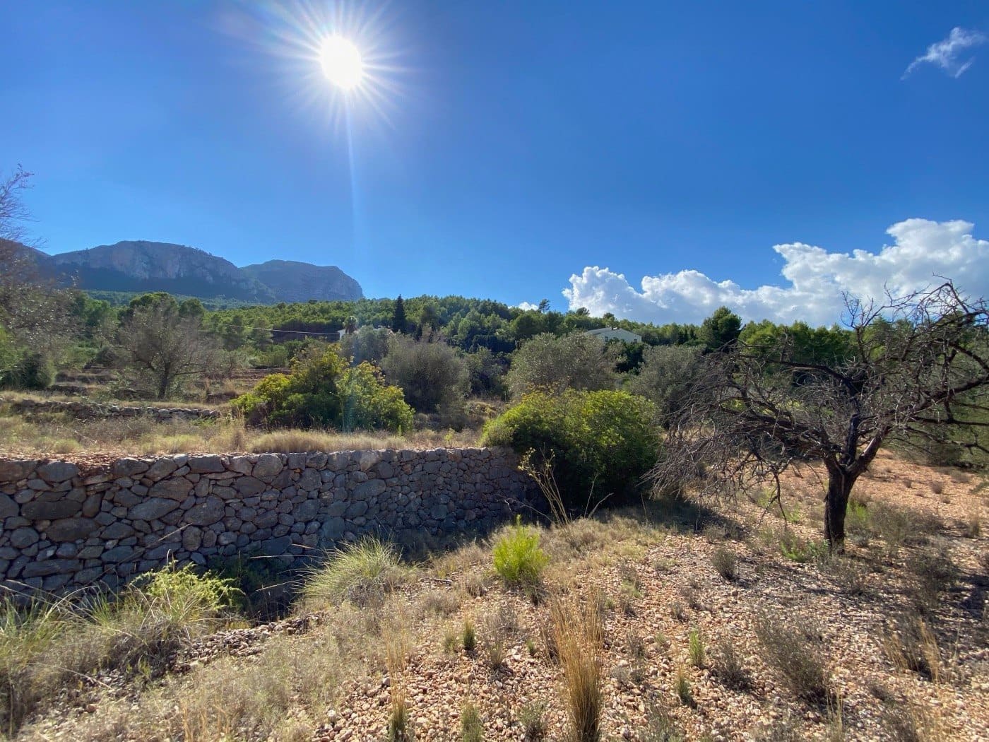 Tomt till salu i Benissa - 230 000 € (Ref: 10054387)