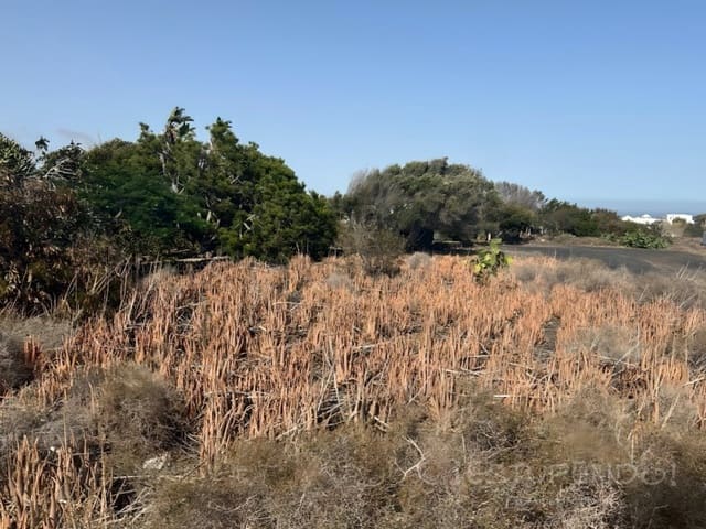 Tomt till salu i Guime, San Bartolomé - 170 000 € (Ref: 8335308)