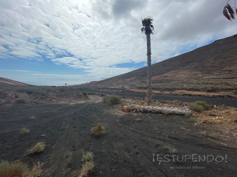 Grunde uden byggetilladelser til salg i Tabayesco - € 160.000 (Ref: 8505979)