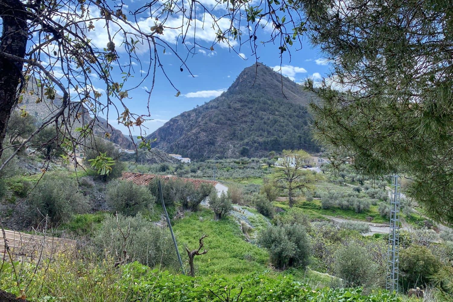 4 chambre Finca/Maison de Campagne à vendre à Oria - 49 950 € (Ref: 10133132)