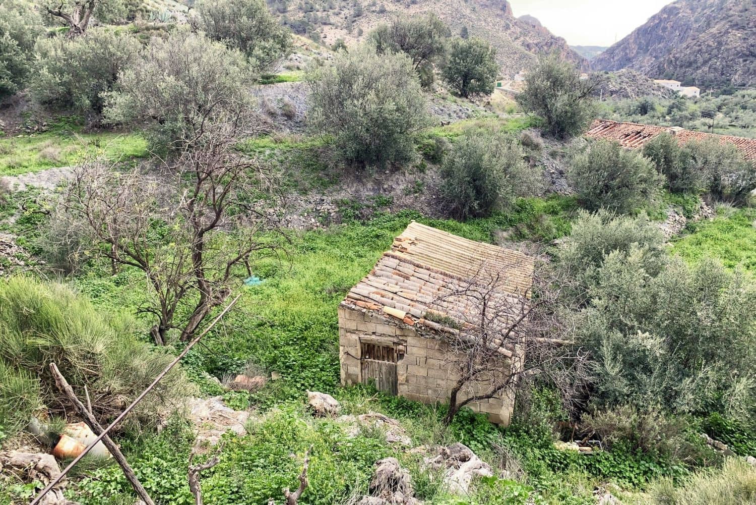 4 chambre Finca/Maison de Campagne à vendre à Oria - 49 950 € (Ref: 10133132)