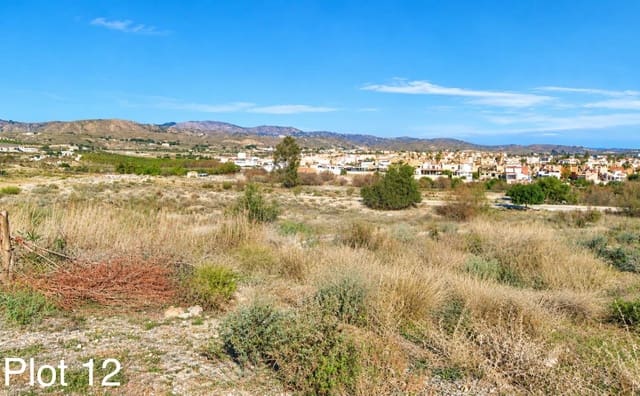 Grunde uden byggetilladelser til salg i Los Gallardos - € 74.000 (Ref: 10153315)