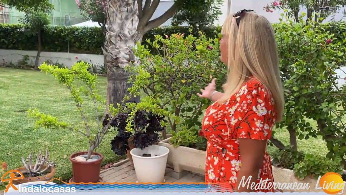 4 sovrum Villa till salu i Vera med garage - 590 000 € (Ref: 7827245)