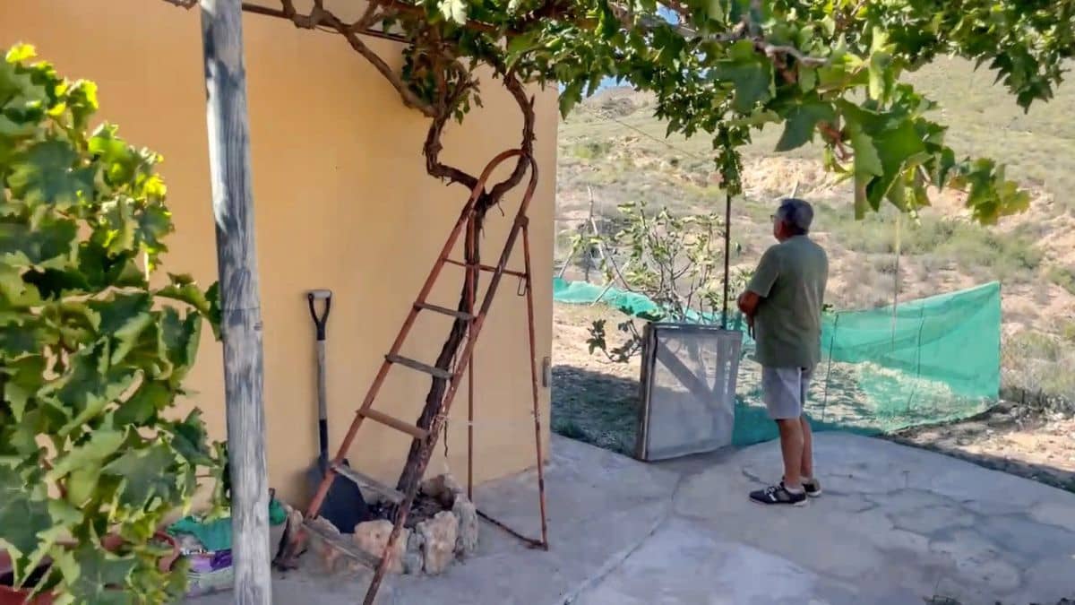 Finca/Herregård til salgs i Huercal-Overa - € 168 500 (Ref: 7846473)