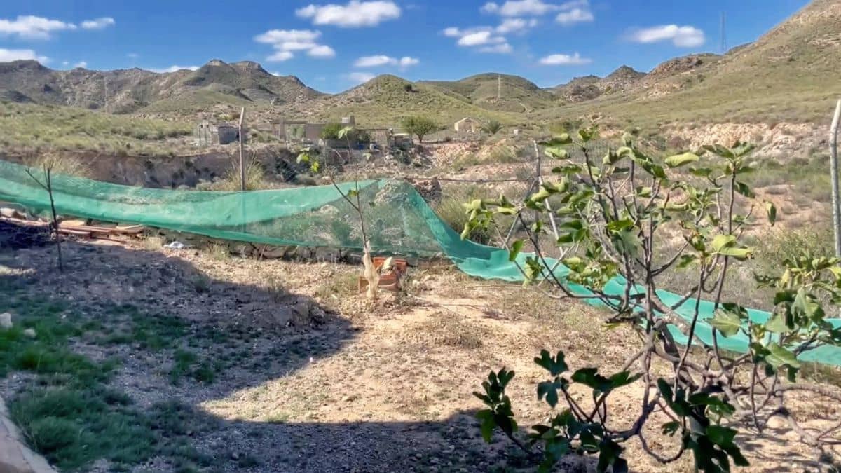 Finca/Herregård til salgs i Huercal-Overa - € 168 500 (Ref: 7846473)