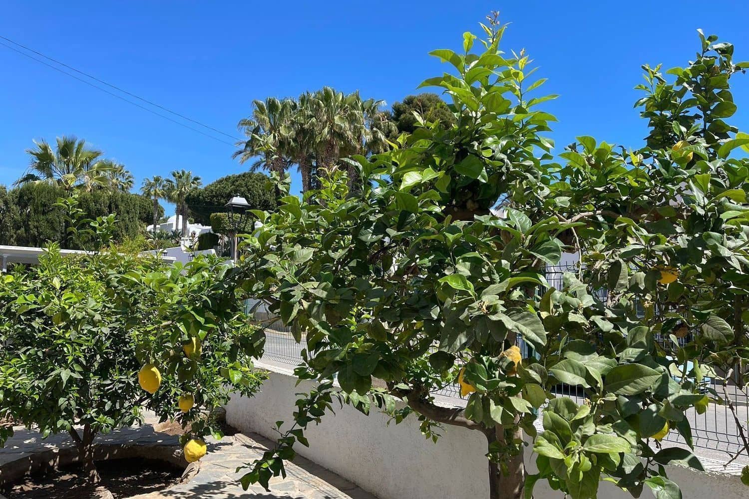 5 sypialnia Willa na sprzedaż w Mojacar - 395 000 € (Ref: 8697829)