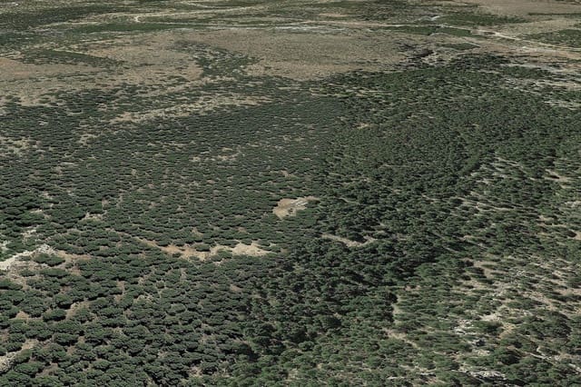 Finca/Casa di Campagna in vendita in Serón - 125.000 € (Rif: 8717019)