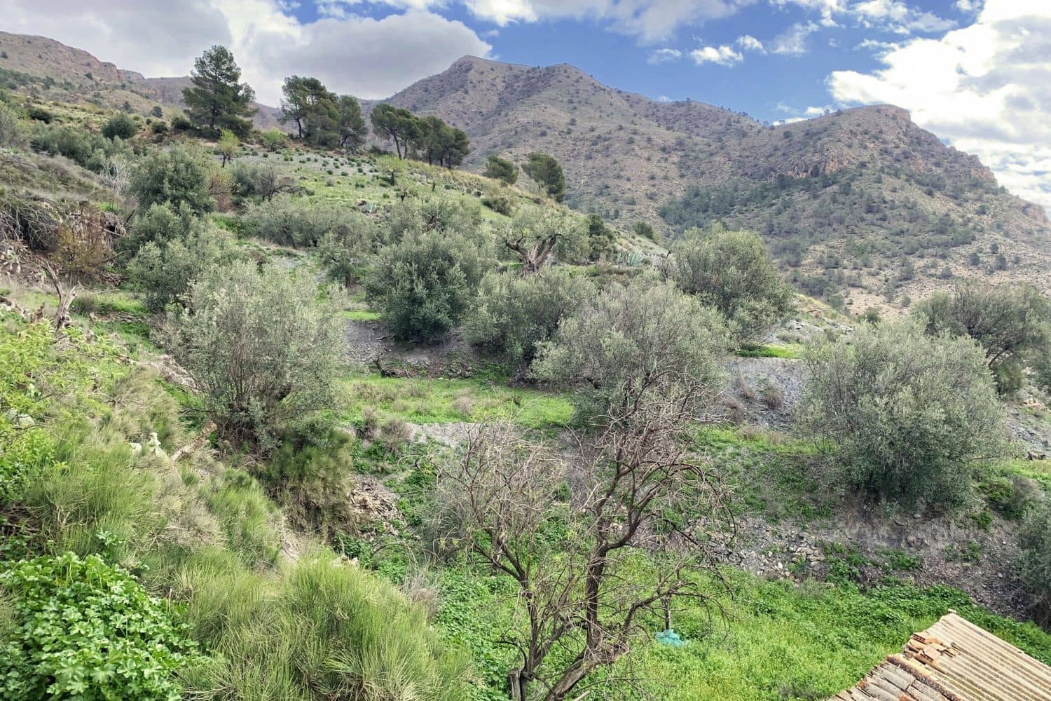 4 soverom Finca/Herregård til salgs i Oria - € 49 950 (Ref: 8942083)