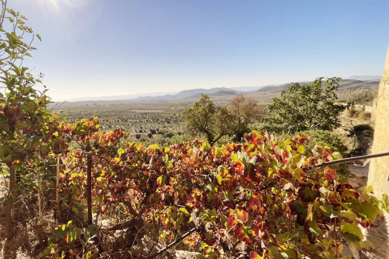 Finca/Casa di Campagna in vendita in Oria - 67.000 € (Rif: 8942084)