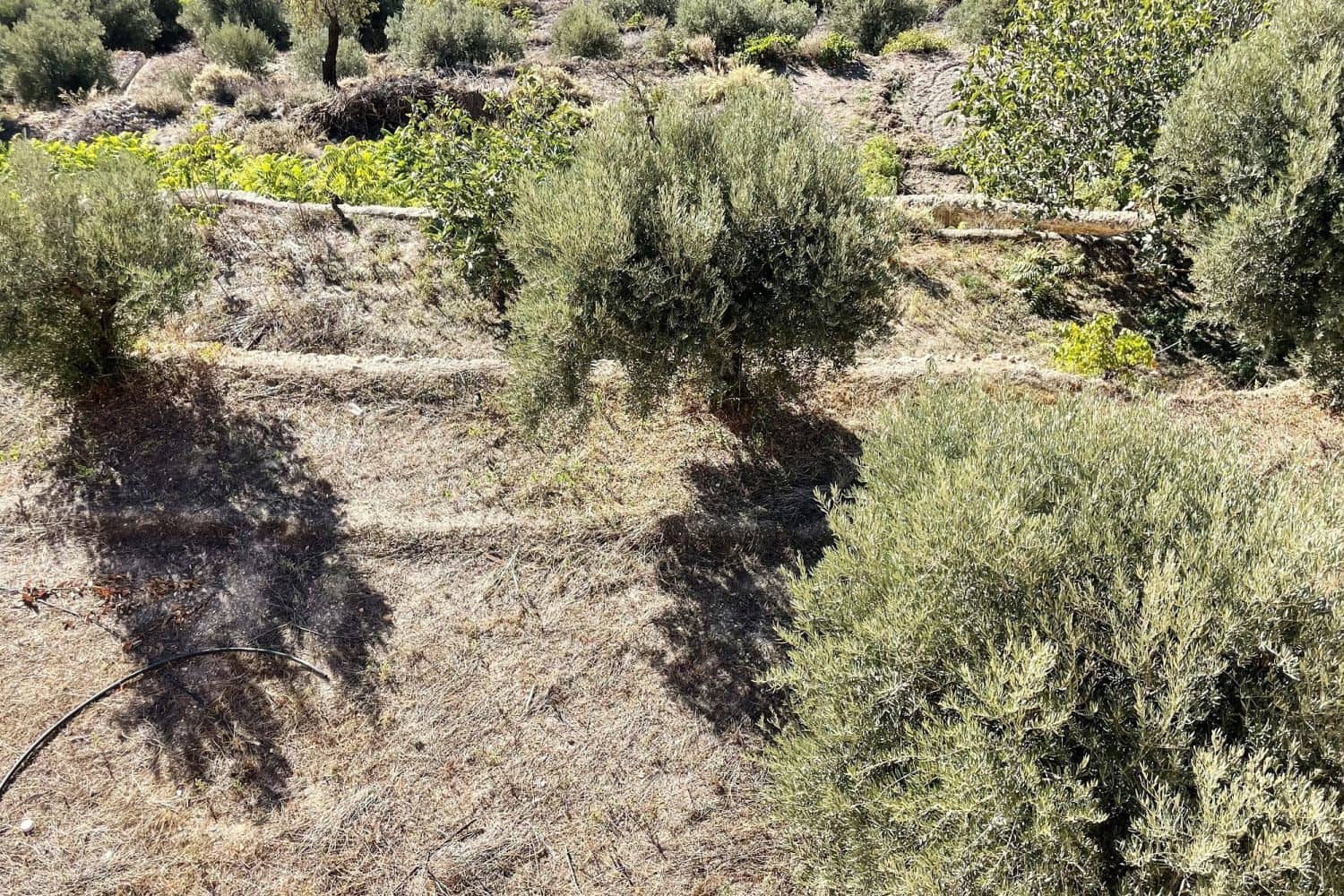 Finca/Casa di Campagna in vendita in Oria - 67.000 € (Rif: 8942084)