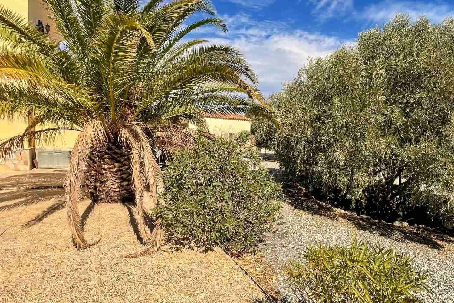 3 makuuhuone Huvila myytävänä paikassa Albox mukana 
autotalli - 234 000 € (Ref: 8960375)