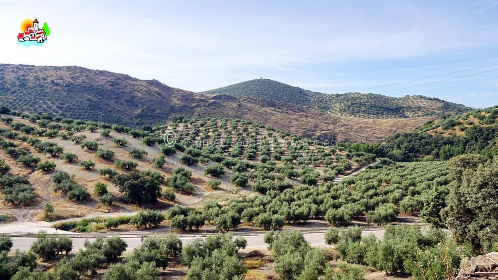 4 bedroom Finca/Country House for sale in Algarinejo with garage - € 169,000 (Ref: 10145268)