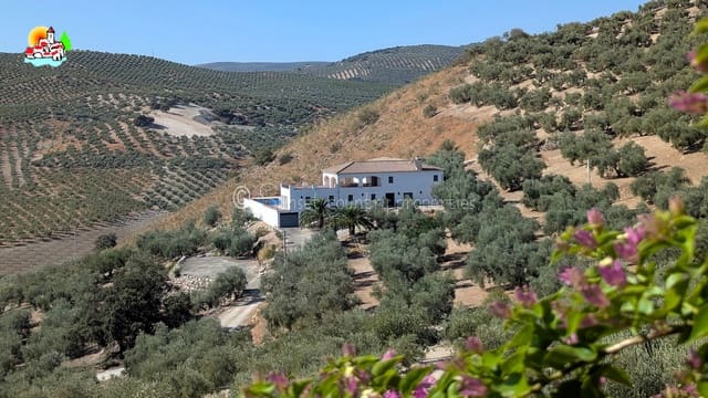 9 soverom Gjestgiveri/B&B til salgs i Iznájar med svømmebasseng garasje - € 890 000 (Ref: 10145269)
