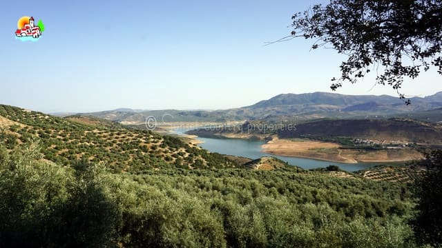 6 bedroom Finca/Country House for sale in Iznájar with pool - € 465,000 (Ref: 6935154)