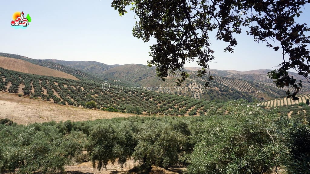 4 bedroom Finca/Country House for sale in Iznajar with pool - € 439,000 (Ref: 9087384)