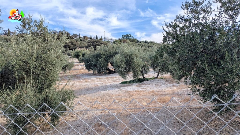 Finca/Casa Rural de 3 habitaciones en Iznájar en venta con garaje - 199.900 € (Ref: 9257989)
